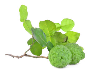 Fototapeta premium Fresh Kaffir Lime on white background