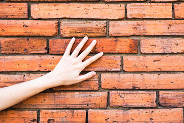 The hand of women touch on surface old red brick wall of Tha Phae Gate in Chiang Mai, Thailand.