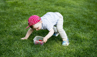 Fototapeta na wymiar boy with strawberry on the grass