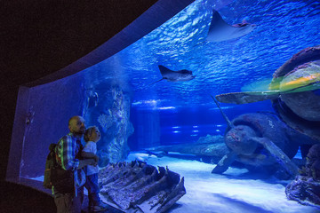 Family observing fish at the aquarium