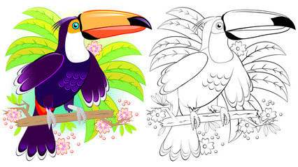 Colorful and black and white pattern for coloring. Illustration of cute toucan. Worksheet for children and adults. Vector image. © nataljacernecka