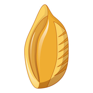 Konkiloni pasta icon. Cartoon of konkiloni pasta vector icon for web design isolated on white background