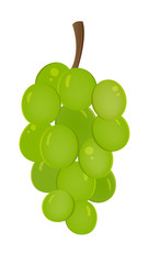 Grapes fruit icon. Isolated fruits and vegetables. vector