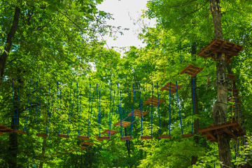 Rope Park among the trees. Walking on hanging stairs in a helmet. Children's rides on trees.