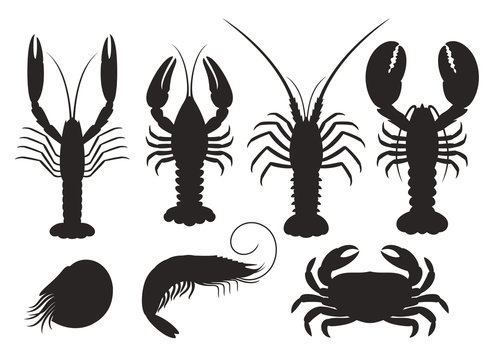 Set of vector silhouettes lobster, crab, spiny lobster, shrimp, nautilus, crayfish, langoustine. Seafood
