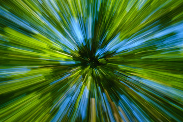Abstract image of tree in countryside. Created by zooming out while closing shutter. Zoom speed blured motion.