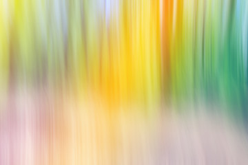 World environment green tree day concept. Abstract blurred trees texture sunset background