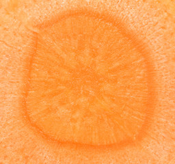 Fresh slice of carrot on white background. Close-up, macro
