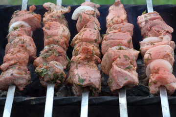 pieces of meat, fried on a brazier, a pleasant smell of food, a delicious lunch in the open air