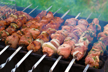 pieces of meat, fried on a brazier, a pleasant smell of food, a delicious lunch in the open air