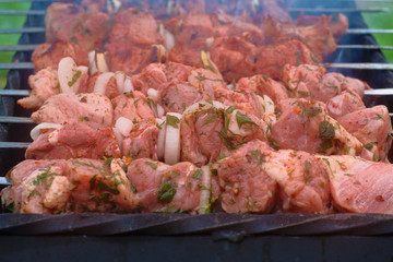 pieces of meat, fried on a brazier, a pleasant smell of food, a delicious lunch in the open air