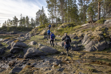 Happy walking in landscape in Northern Norway