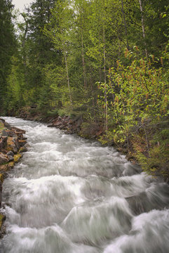 Lake McDonald Lodge Stream Crossing