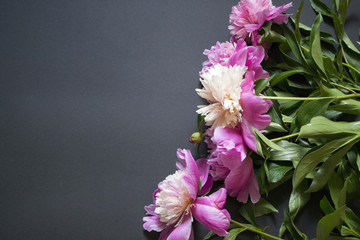 Fototapeta na wymiar Pink and white peonies bouquet on a black background