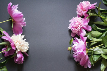 Pink and white peonies on a black background
