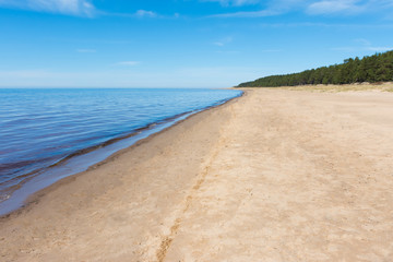 Fototapeta na wymiar Baltic sea coast in spring
