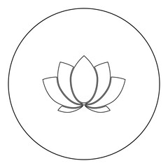Lotus icon black color in circle