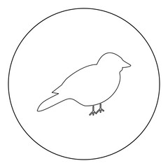 Bird icon black color in circle