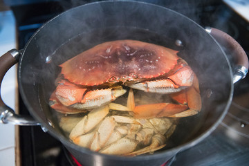 Fresh Dungeness Crab