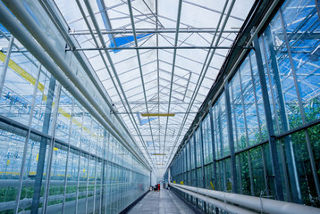 The frame of a modern greenhouse against the sky