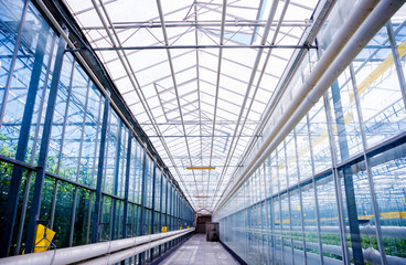The frame of a modern greenhouse against the sky