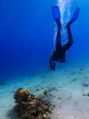 Diving in underwater coral reef world