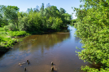 Dziko płynąca rzeka w środkowej Polsce