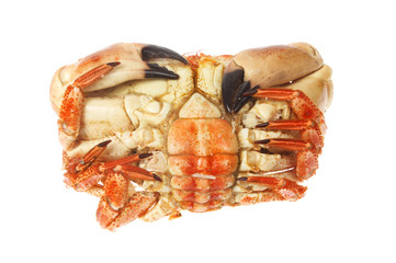 Cooked brown crab