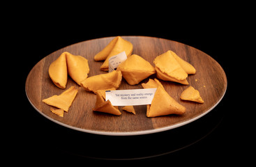 fortune cookie says to you that mystery and reality emerge from the same source