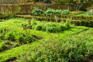 F, Bretagne, Finist&egrave;re, Daoulas, Kloster von Daoulas, Klostergarten