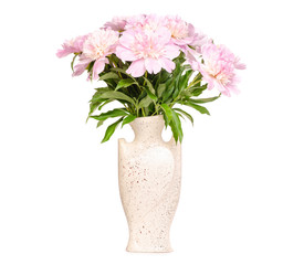 Peonies in a vase on a white background isolation