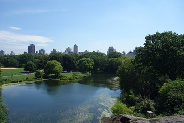 Fototapeta na wymiar central park