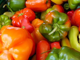 Bunte Paprika