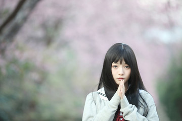 Fototapeta premium Japanese school girl dress looking sakura flower nature walkway