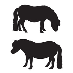 Vector silhouette of a pony on a white background.