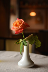 single rose in ceramic vase on a table