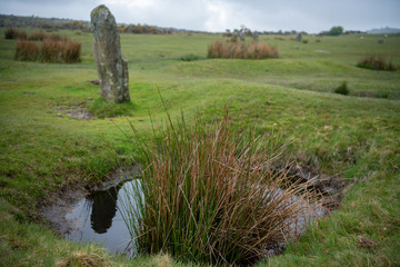 Moor