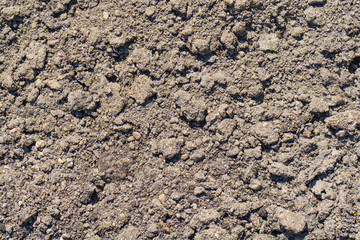 Ground textured surface background under bright sunlight closeup texture