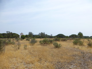 Paeque natural de Doñada en el Rocio en Huelva (Andalucia,España)