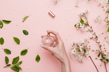 Perfume water in woman hand with spring blossom. Top view on pink isolated background, flatlay.