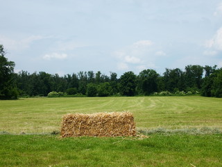 paesaggio agricolo