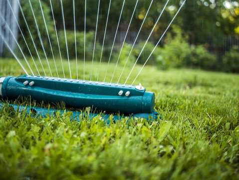 close up automatic system of water splinker pouring green lawn in the garden