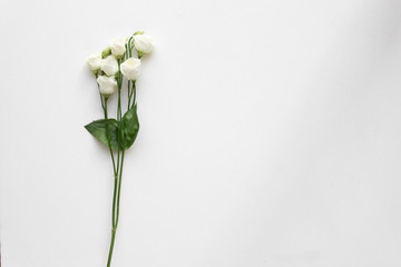 Naklejka na ściany i meble White beautiful roses on white marble. Top View.