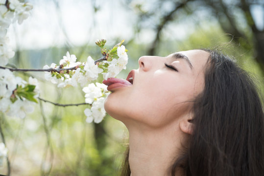Sexy woman walking in blooming park or garden, spring concept. Young brunette with closed eyes licking white blossom. Side view portrait of beautiful girl with stick out tongue under flowering tree