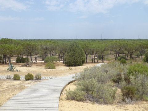 Matalascañas y Doñana,localidad costera de Almonte en Huelva,en la Comunidad Autónoma de Andalucía, en España
