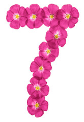 Arabic numeral 7, seven, from pink flowers of flax, isolated on white background