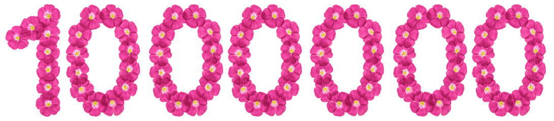 Arabic numeral 1000000, one million, from pink flowers of flax, isolated on white background