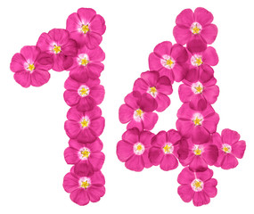 Arabic numeral 14, fourteen, from pink flowers of flax, isolated on white background