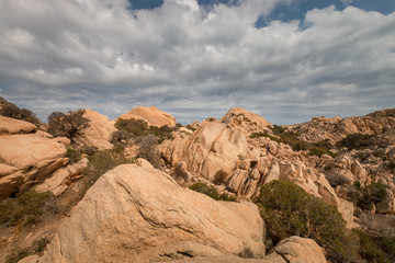 Landscape at Cala Coticcio, Italy