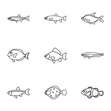 Species of fish icons set. Outline illustration of 9 species of fish vector icons for web